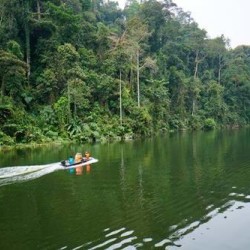 Mystical Borneo