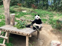 Southwest China