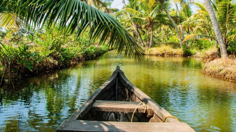 Kerala backwaters