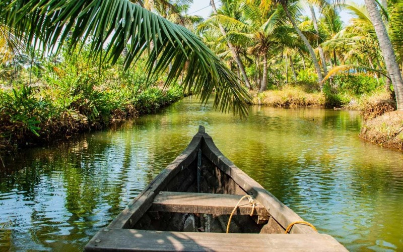 Kerala backwaters