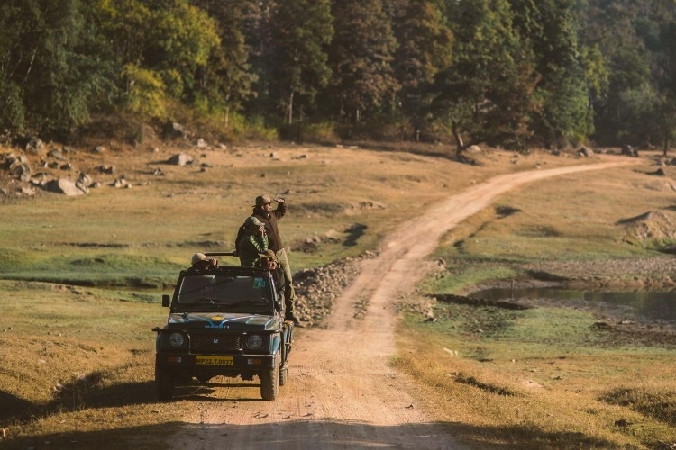Group tour in a jeep on safari in India