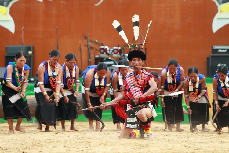 Hornbill Festival and Brahmaputra Expedition
