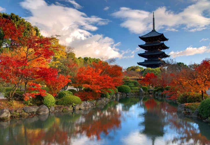 Nara Japan landscape