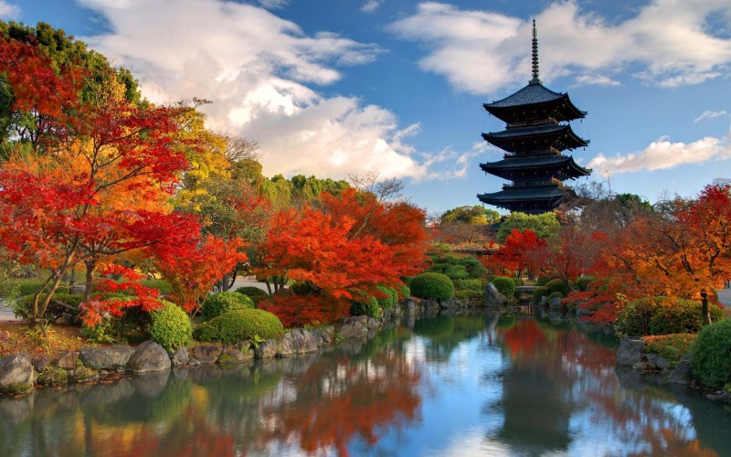 Nara Japan landscape