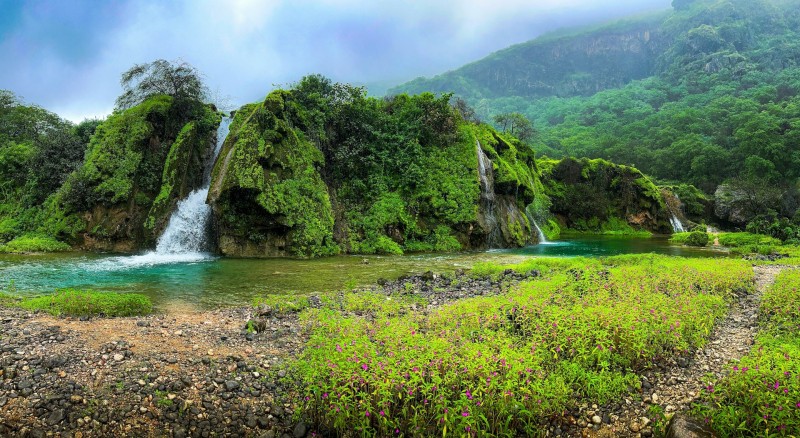 Waterfalls and flowers in Salalah, Oman