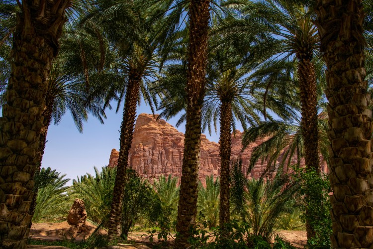 Al Ula 1