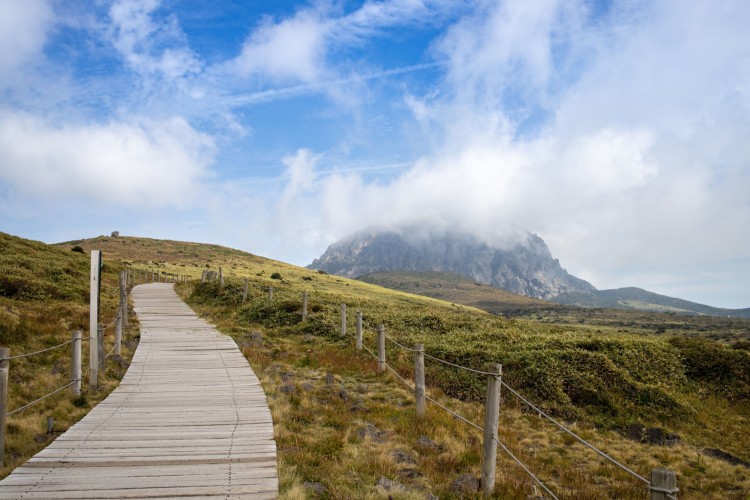 This is the view of Hallasan Mountain taken at the hiking trail of Hallasan Mountain in Jeju.