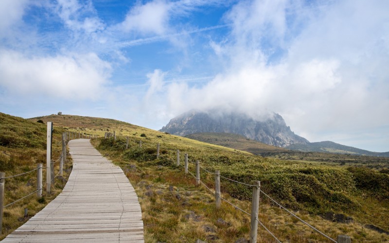 This is the view of Hallasan Mountain taken at the hiking trail of Hallasan Mountain in Jeju.