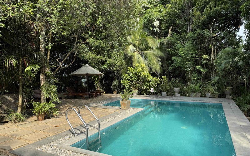 sri-lanka-rosyth-estate-2