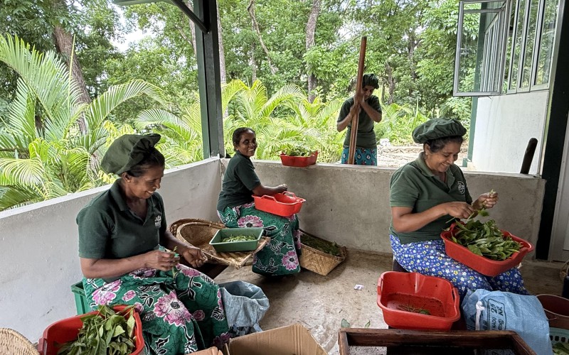 sri-lanka-rosyth-estate