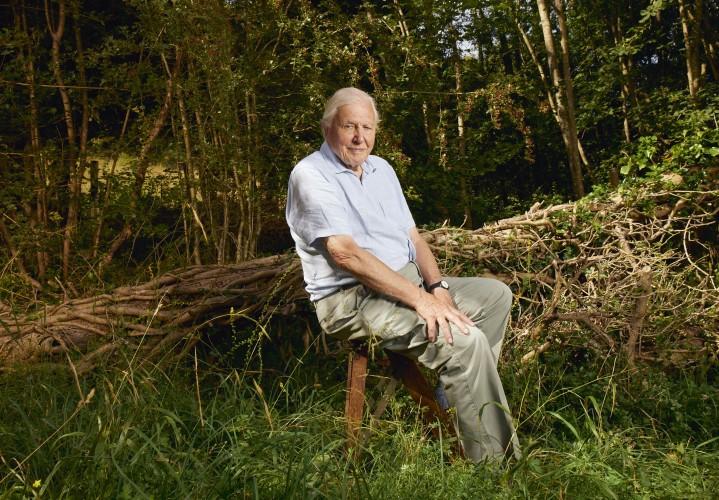 Sir David Attenborough sitting on a fallen tree in the forest