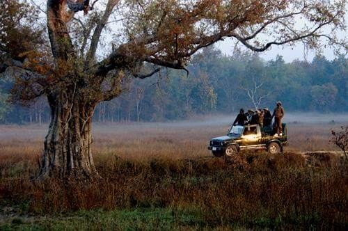 India's Extraordinary National Parks