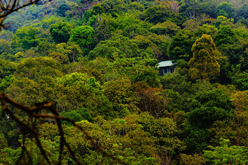 India's  Top 10 Biodiversity Hotspots