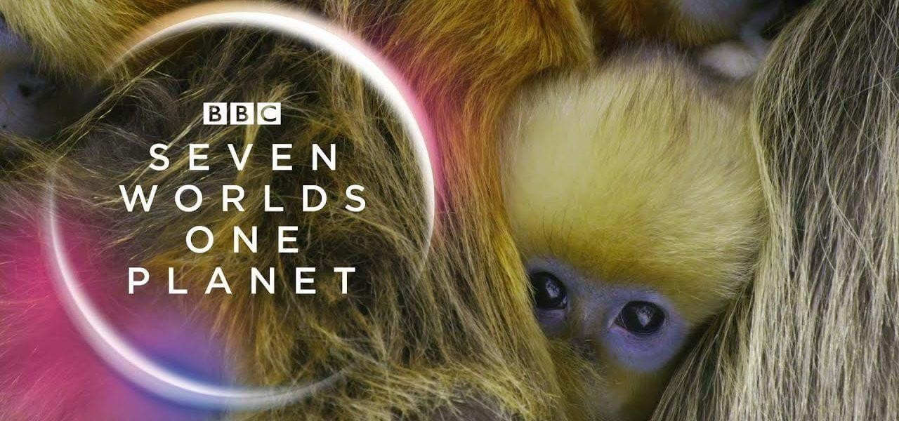 Asia: Seven Worlds in One Continent