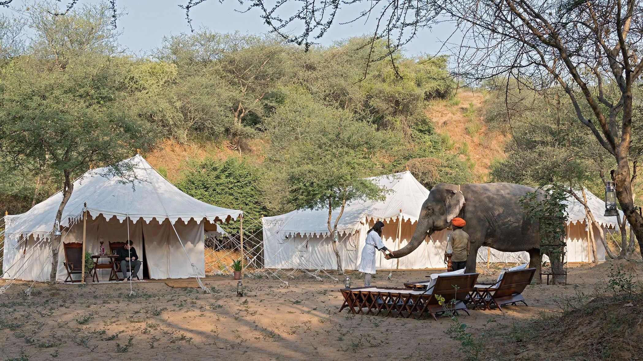 Four Great New TransIndus Experiences for Rajasthan