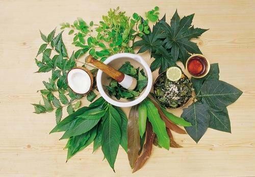 Ayurveda for Travellers