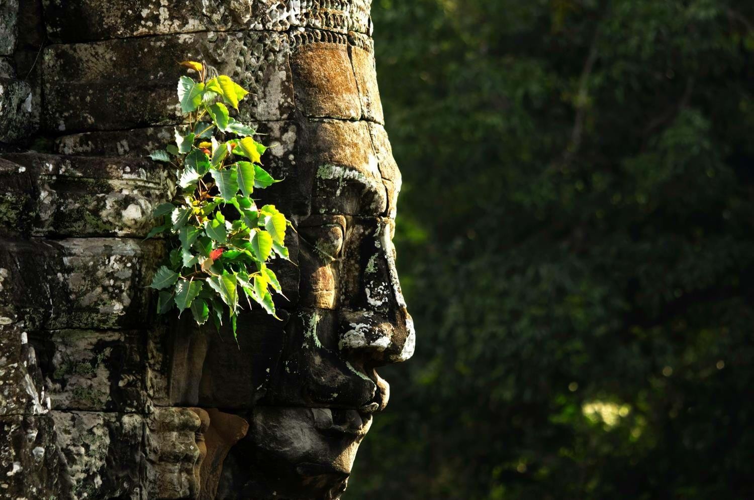 TransIndus Top 5 Experiences: Cambodia