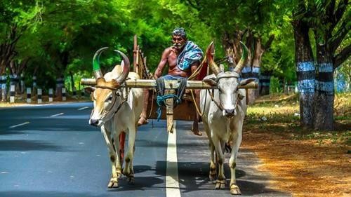 Bucket list India; Beyond the Golden Triangle