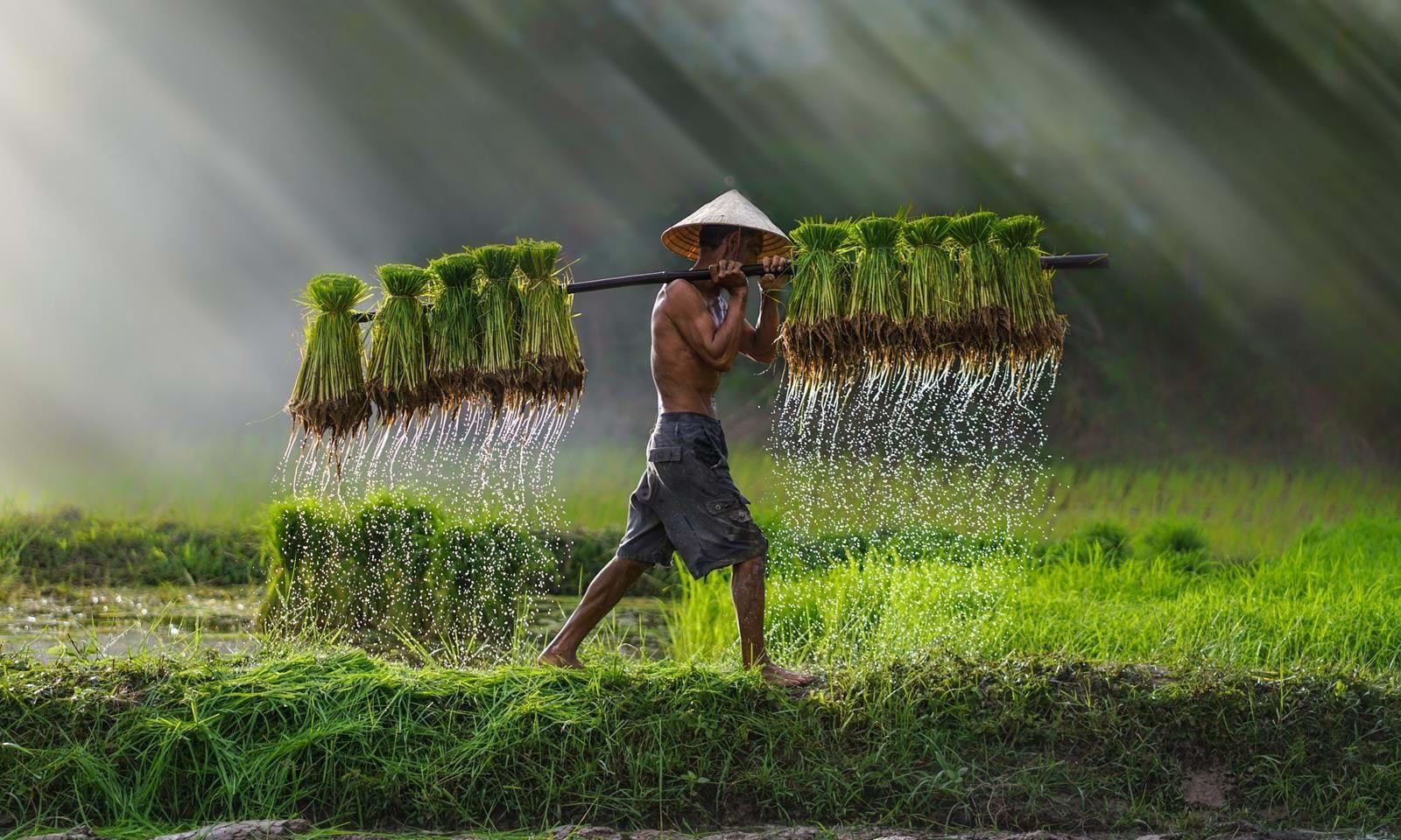 Vietnam