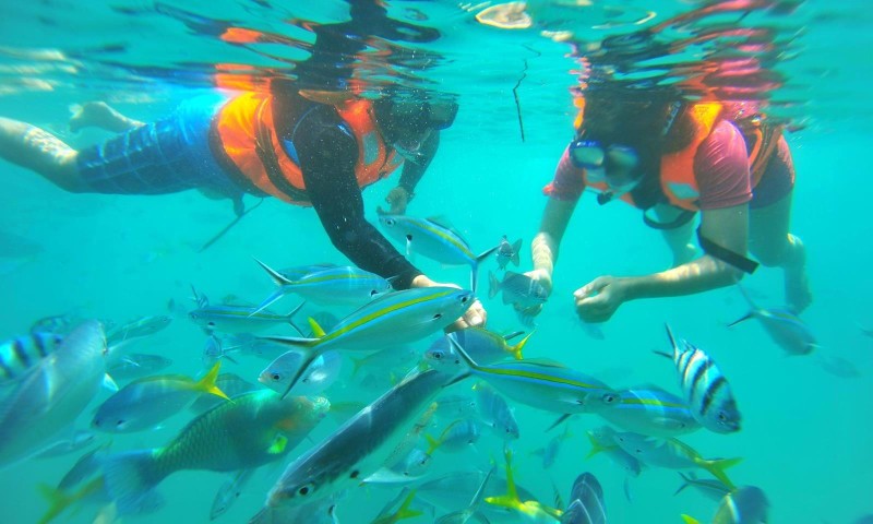 Children snorkelling in Southeast Asia clear blue waters with fish