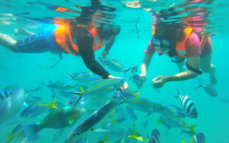 Children snorkelling in Southeast Asia clear blue waters with fish