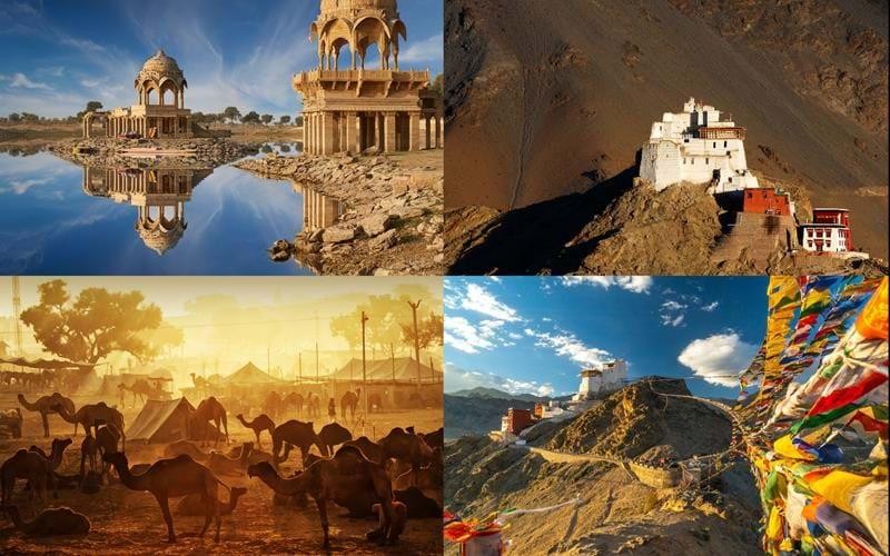 Wildlife Conservation Success Stories of India