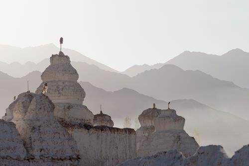 Hemis National Park and Snow Leopards