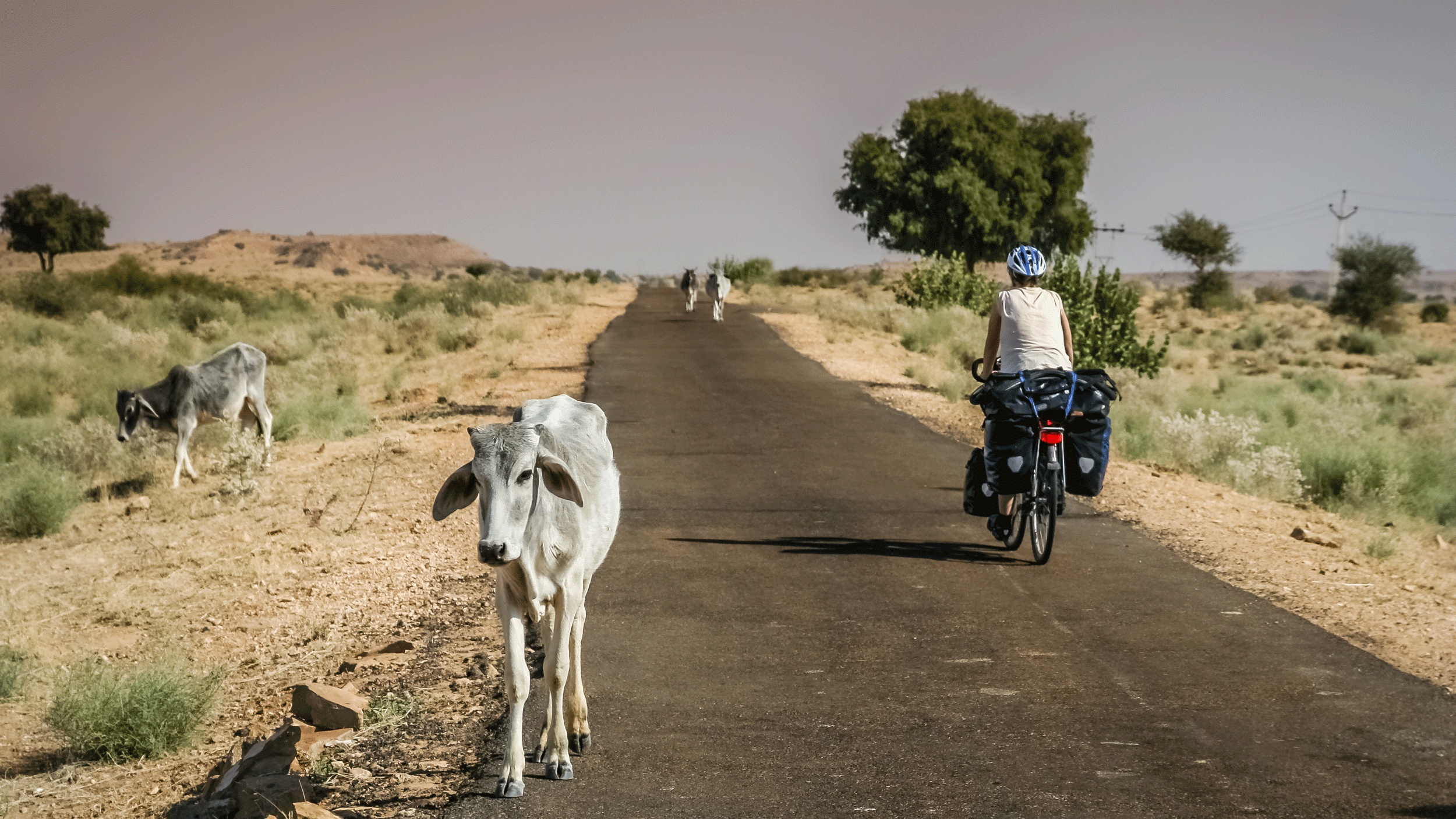 Cycle Around the Local Villages of Agra