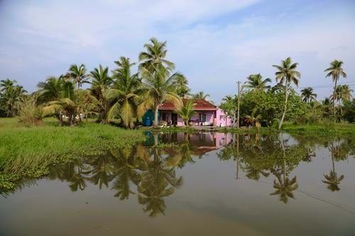 Exploring Kerala's Backwaters