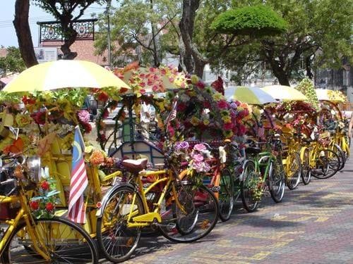 Cycle Tour to Twante