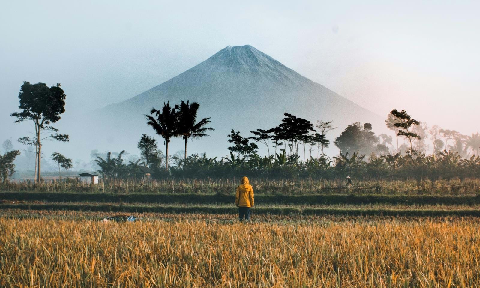 Yogyakarta