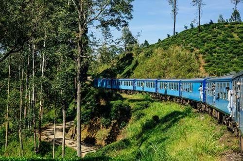 Riding the Tea Train