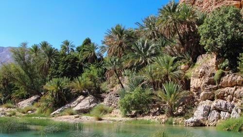 Wadi Hopping