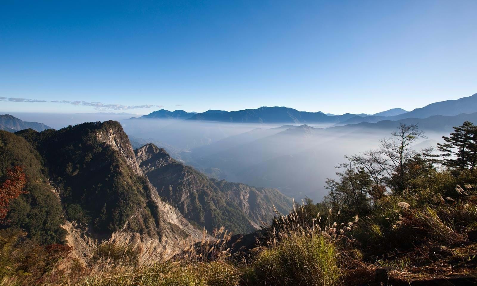 Alishan National Park