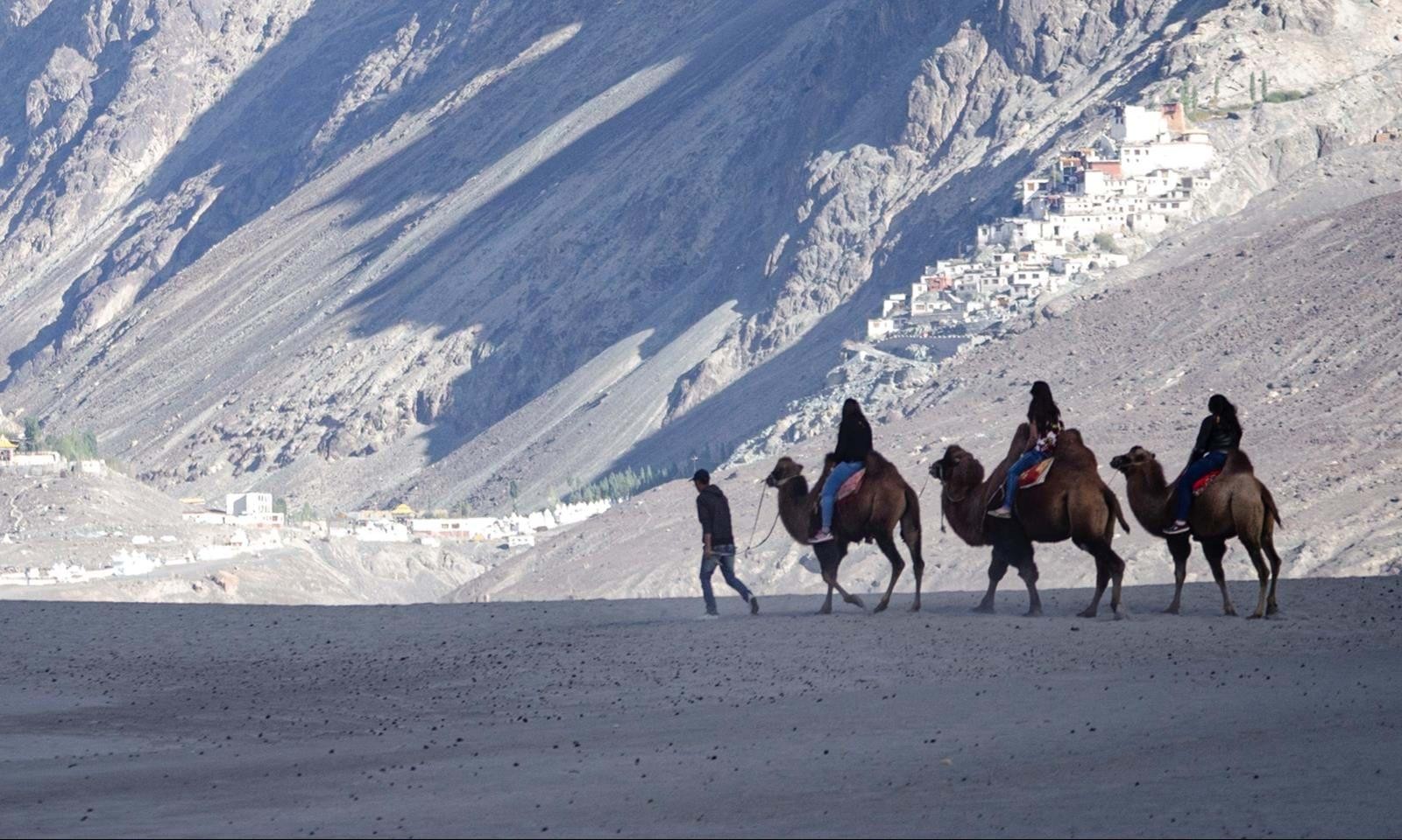 Nubra Valley, Ladakh