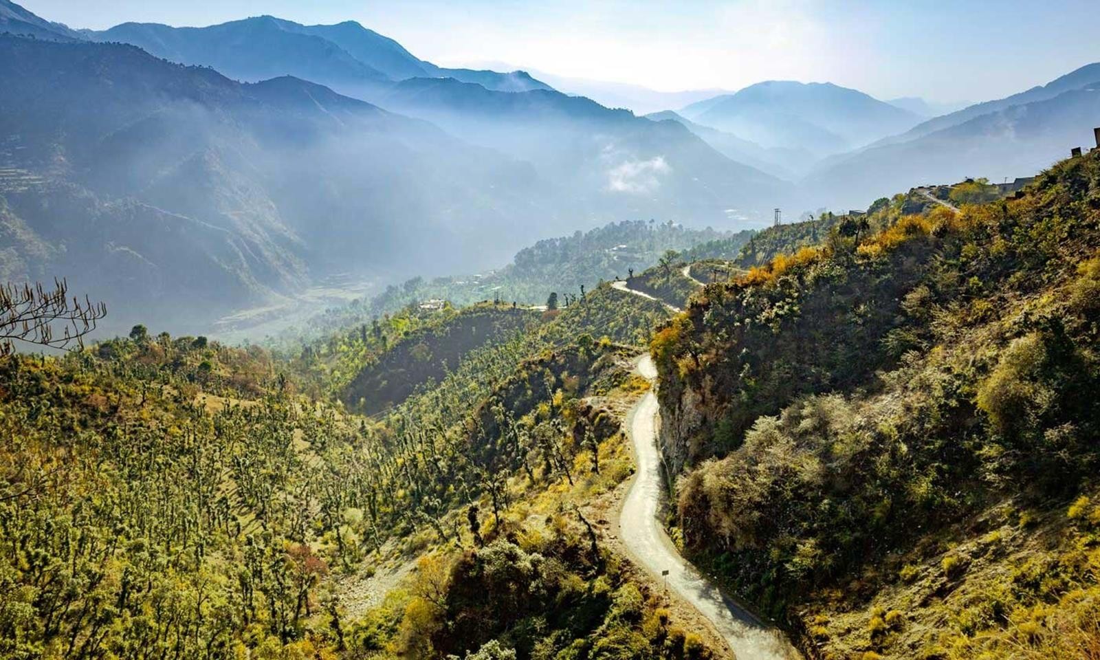 Sleeping Beauty Trail, Shimla