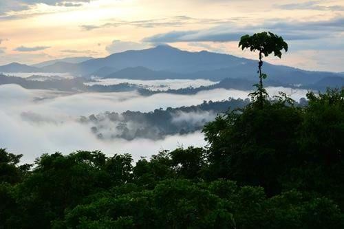 Malaysian Borneo