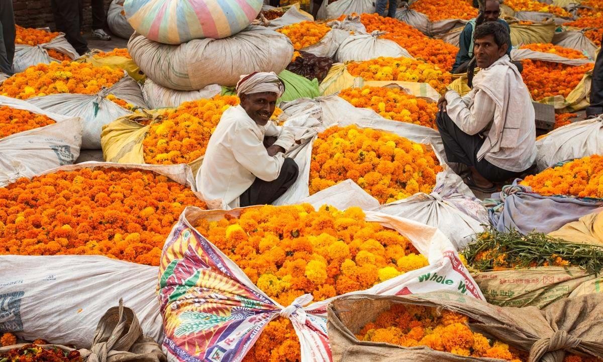 Shop in Agra's Markets and Bazaars