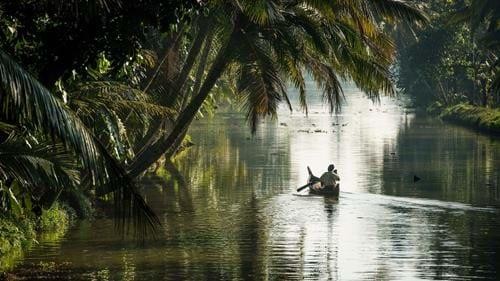 Kayaking in Kuttinad