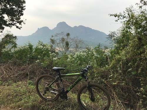 Coffee Estate Cycle Rides