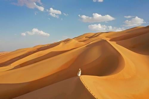 Desert Adventures in Abu Dhabi