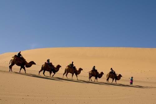 Gobi Desert