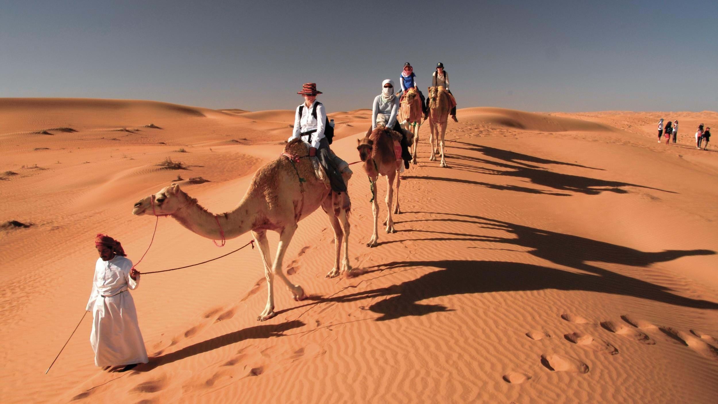 Camel trekking