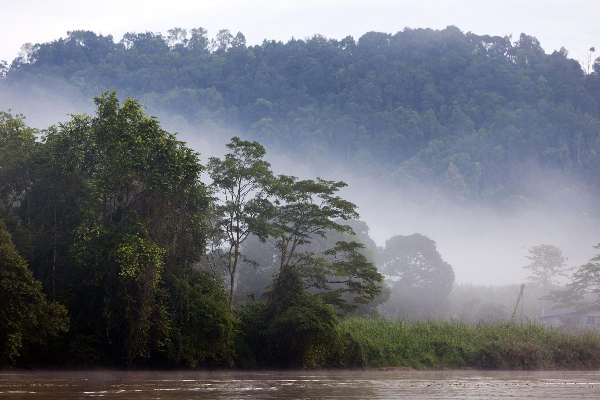 Kinabatangan