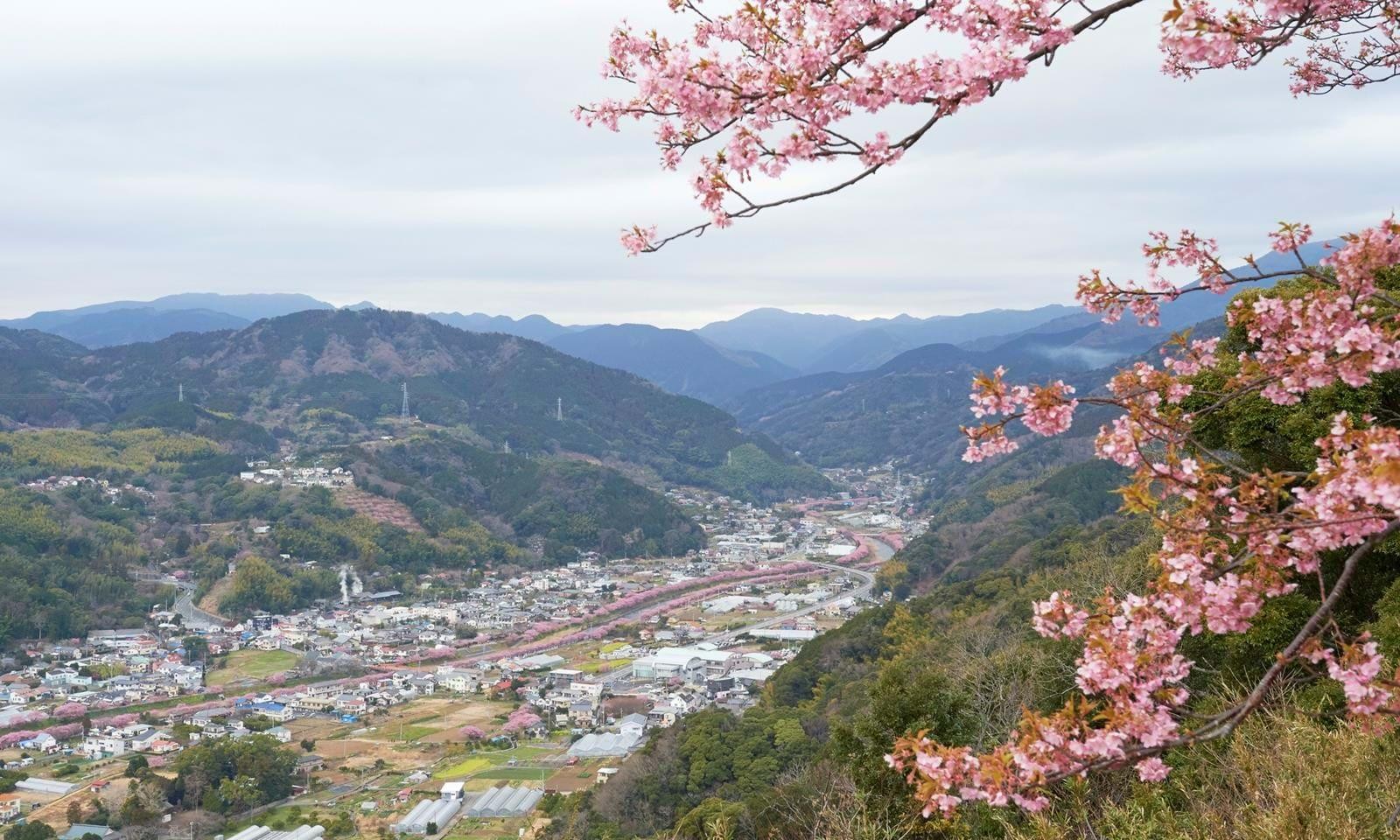 Izu Hanto