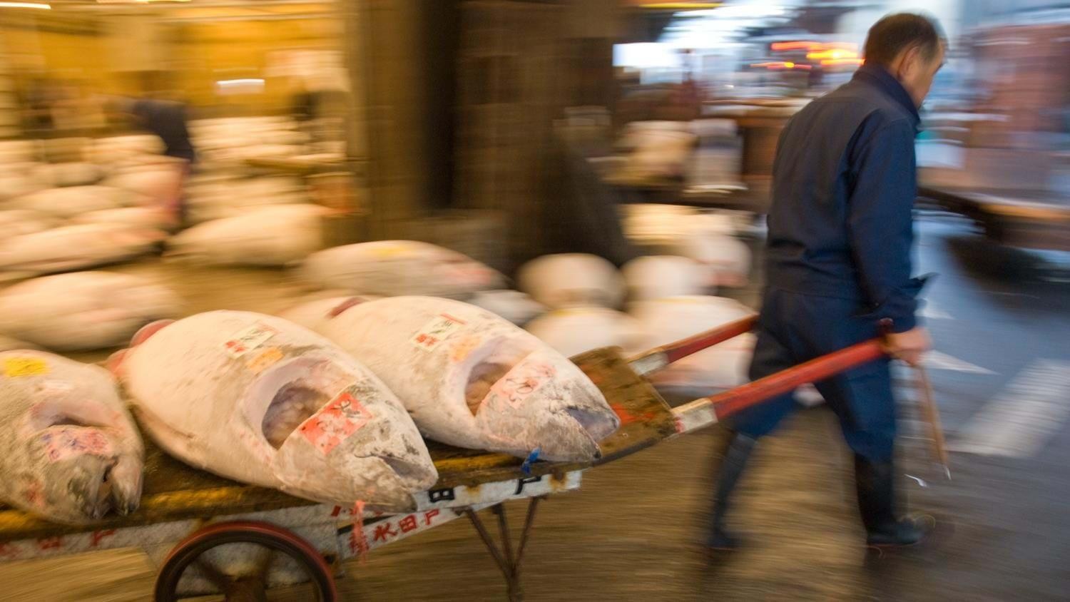 Tsukiji Fish Market