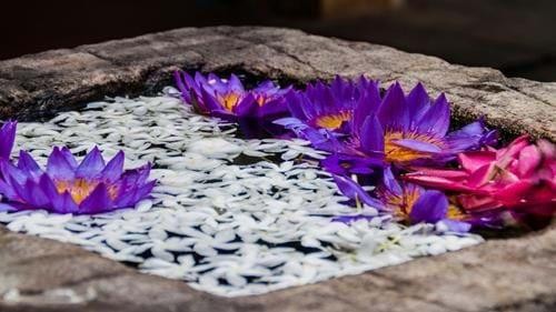 Flower Offering at the Temple of the Tooth