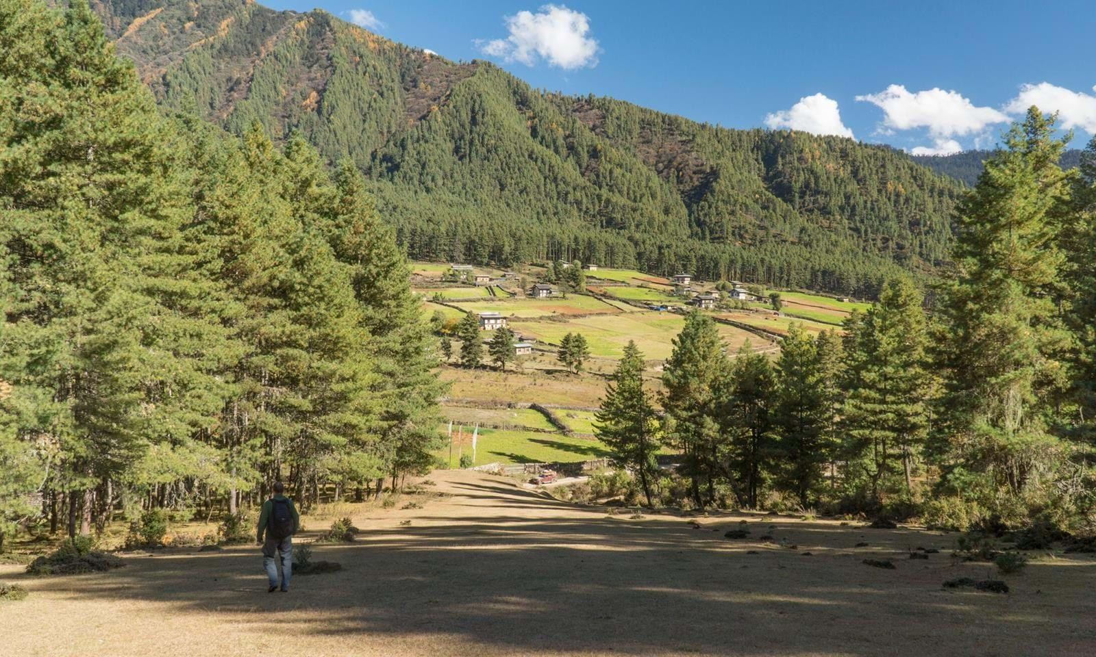 Hiking the Phobjikha Valley