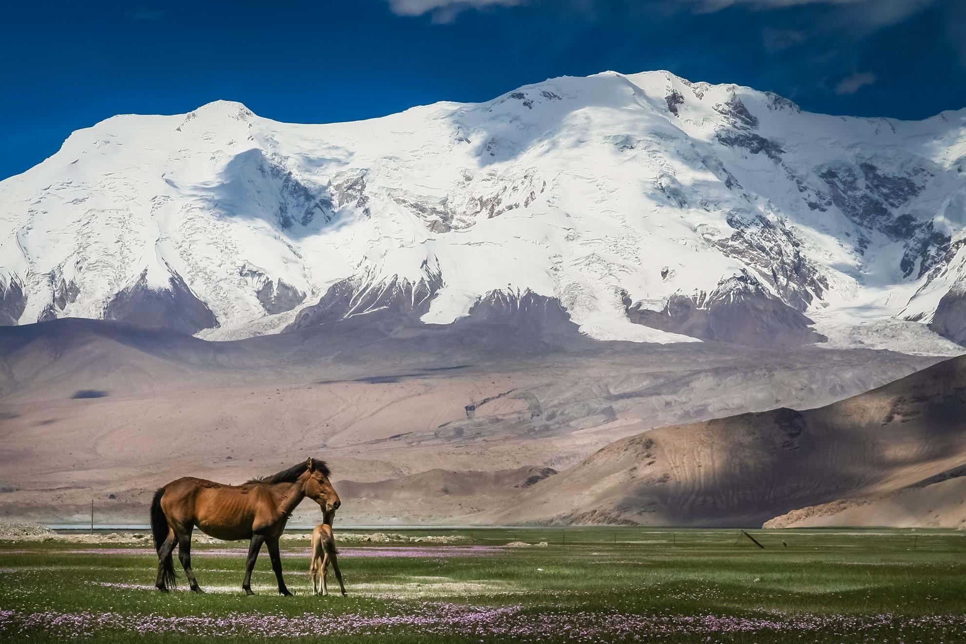Khustain Nuruu National Park