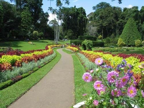 The Royal Botanical Gardens, Kandy